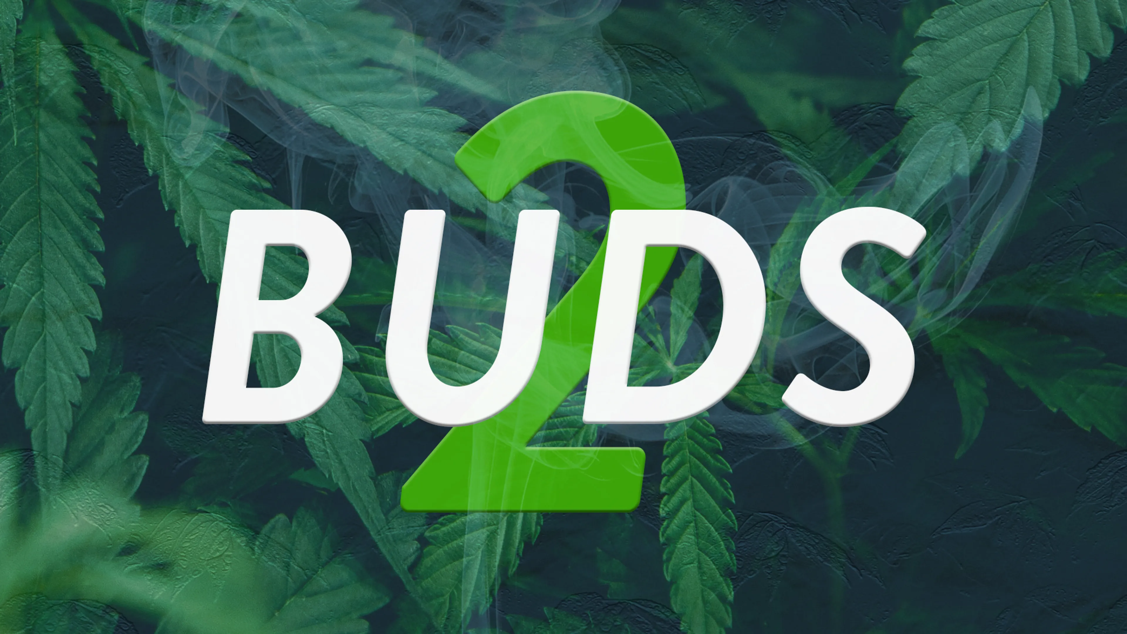 Buds 2 poster